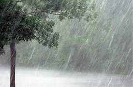 தமிழ்நாட்டில் அக்டோபர் 19 வரை கனமழை தொடரும்: இன்று 4 மாவட்டங்களுக்கு எச்சரிக்கை.