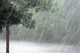 தமிழ்நாட்டில் அக்டோபர் 19 வரை கனமழை தொடரும்: இன்று 4 மாவட்டங்களுக்கு எச்சரிக்கை.