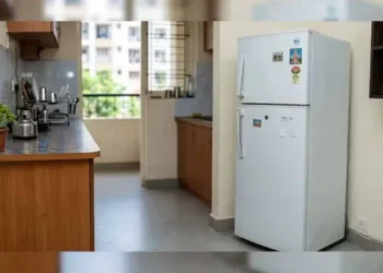 மூன்று மாதக் கருவை ஃப்ரிட்ஜில் வைத்திருந்த தம்பதியர்: வழக்குப்பதிவு செய்த பொலிசார்