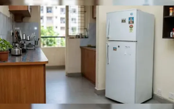 மூன்று மாதக் கருவை ஃப்ரிட்ஜில் வைத்திருந்த தம்பதியர்: வழக்குப்பதிவு செய்த பொலிசார்