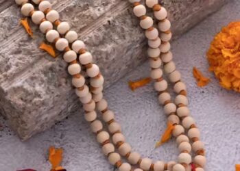 Tulsimala wearing rules துளசி மாலை அணியப் போகிறீர்களா? அவசியம் தெரிந்து கொள்ள வேண்டிய விதிமுறைகள்