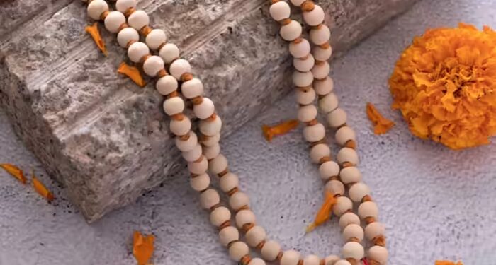 Tulsimala wearing rules துளசி மாலை அணியப் போகிறீர்களா? அவசியம் தெரிந்து கொள்ள வேண்டிய விதிமுறைகள்