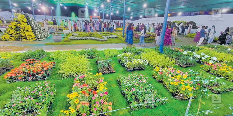 தேக்கடியில் பூத்துக் குலுங்கும் வண்ண மலர்கள்! தொடர் விடுமுறையை கொண்டாடக் குவியும் சுற்றுலாப் பயணிகள்!