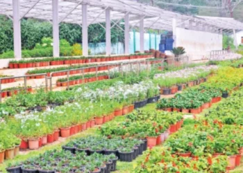 தாவரவியல் பூங்காவில் தொட்டிகளில் பூத்து குலுங்கும் மலர்கள்