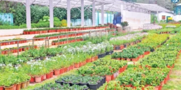 தாவரவியல் பூங்காவில் தொட்டிகளில் பூத்து குலுங்கும் மலர்கள்