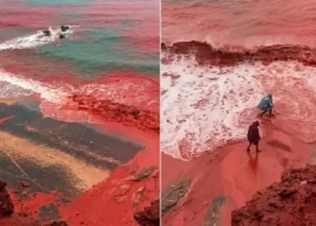 சிவப்பாக மாறிய ஹார்முஸ் ஜலசந்தி! போர் பதற்றத்தால் உலக நாடுகள் கடும் அதிர்ச்சி