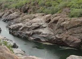 மேகதாது அணைத் திட்ட அறிக்கை நிராகரிப்பு : வெளியான முக்கியத் தகவல்!